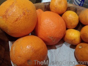 Orange citrus